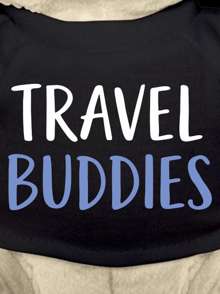 Travel Buddies