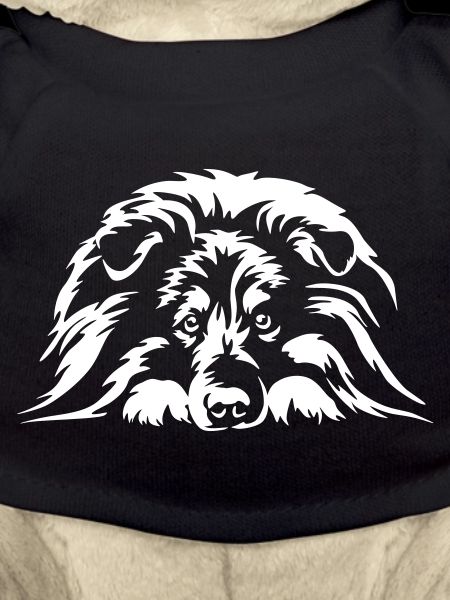 Sheltie "Black Edition"