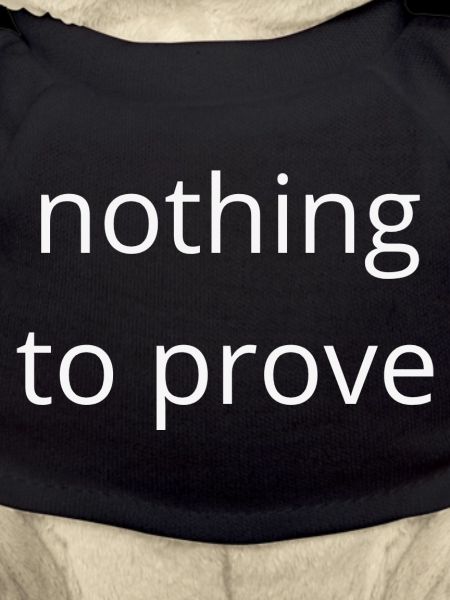 Rien à prouver