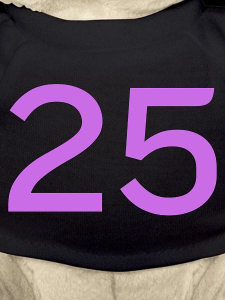 25