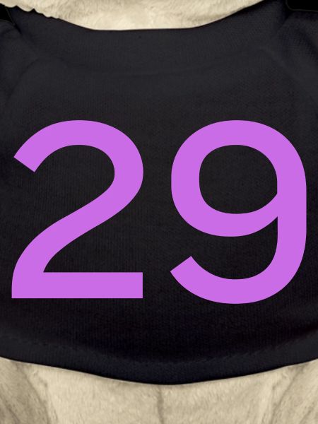 29