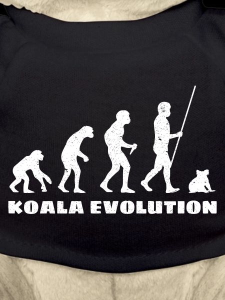 Koala Evolution