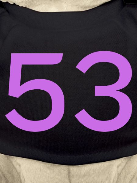 53