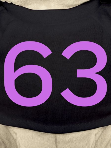 63