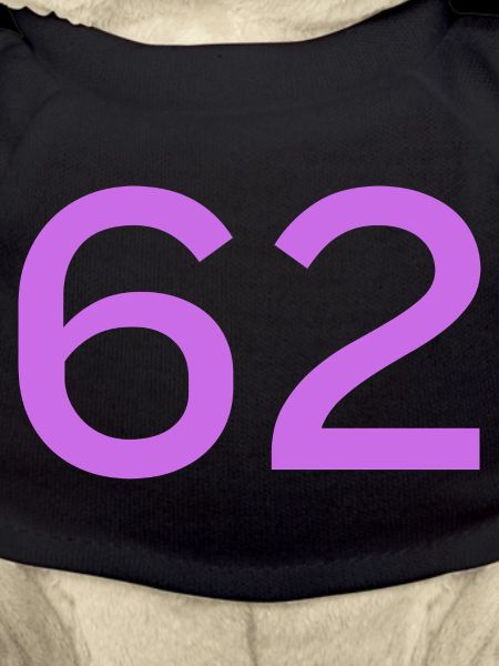 62