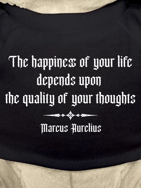 Marcus Aurelius quote on Happiness