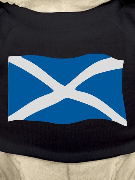 Drapeau de l'ecosse