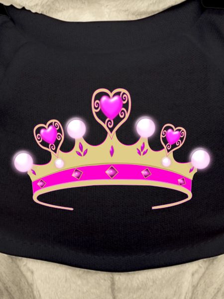Tu es la princesse!