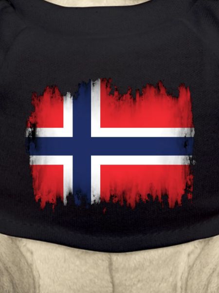 Norwegian flag