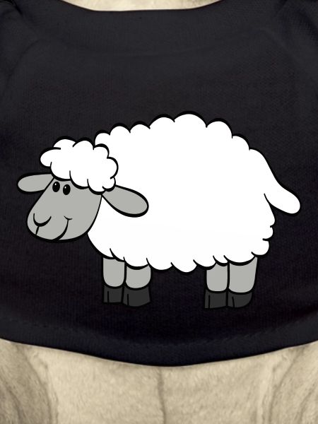 mouton