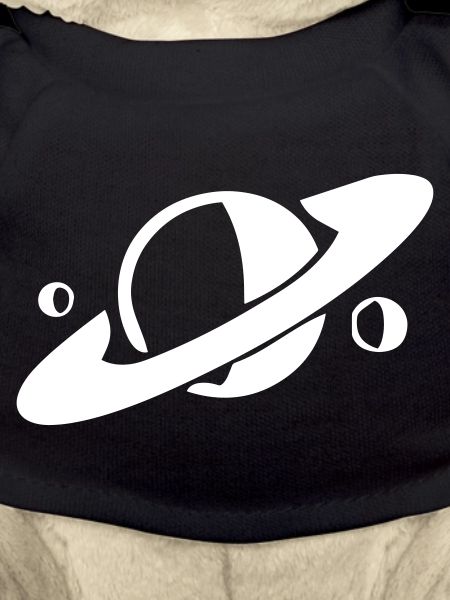 Saturn and its moons