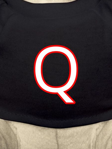 Q