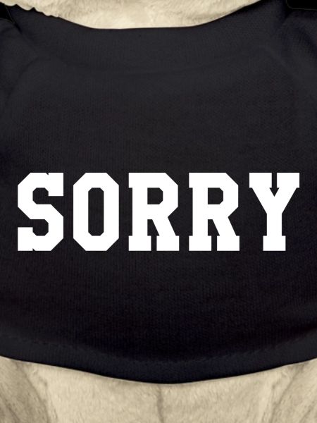 Sorry