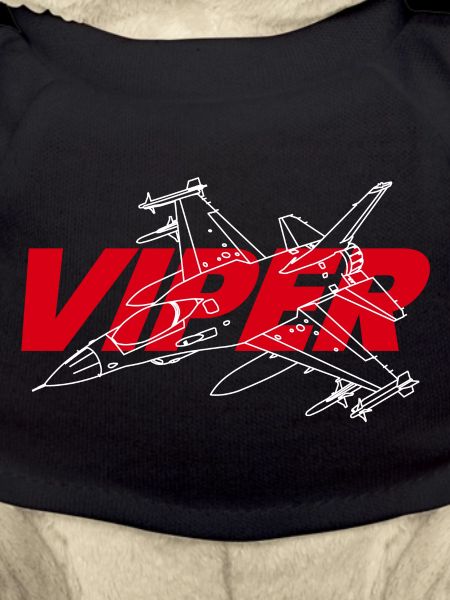 F-16 Viper / Fighting Falcon Düsenjäger / F16