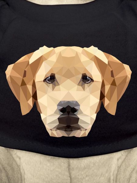 Dog Labrador Polygon