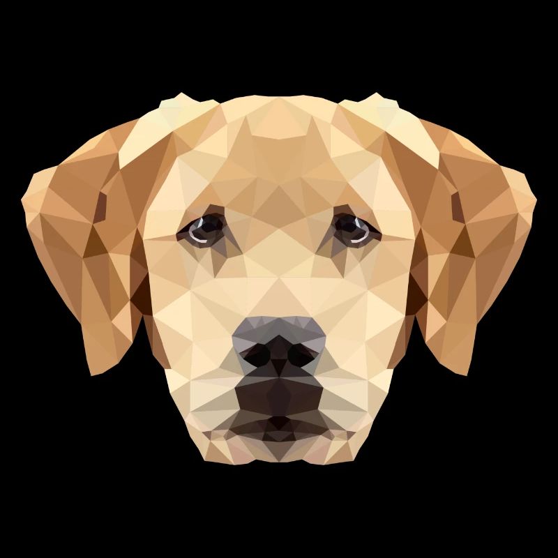 Hund Labrador Polygon