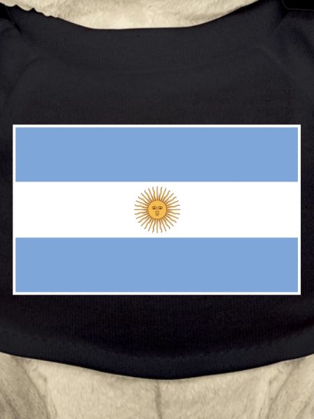 Argentina Flag