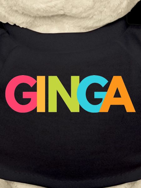 Ginga Capoeira