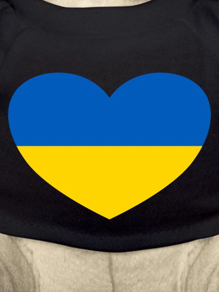 Ukraine Heart
