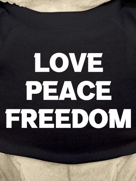 Love Peace Freedom