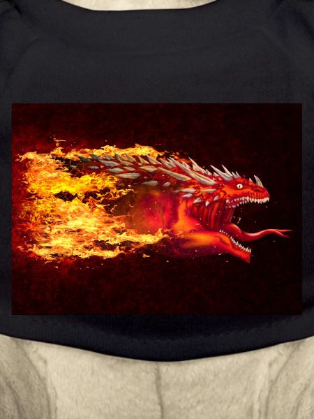 DRAGON SNAKE SUGAAR