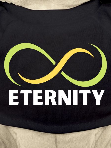 Eternity Infinity Ribbon Emblem