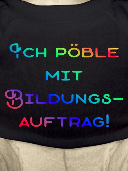 Pöbliger Bildungsauftrag