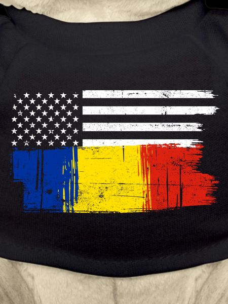 Flag Brush Fusion