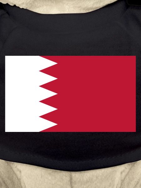 Qatar Flag Flag