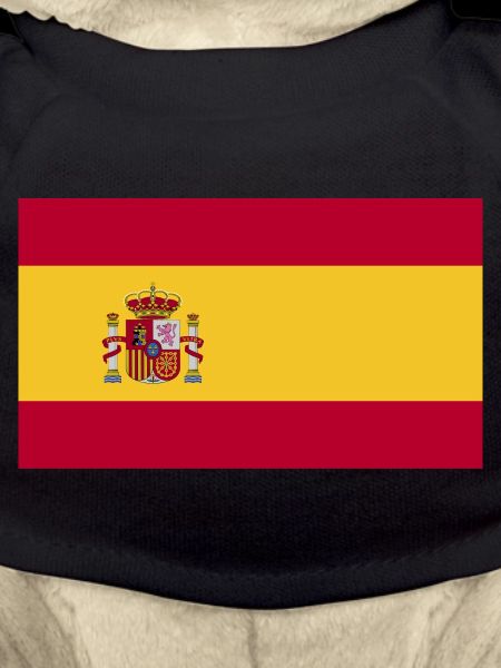 Spain Flag