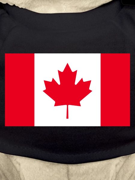 Drapeau du Canada
