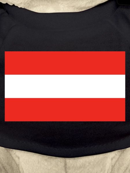Austria national flag