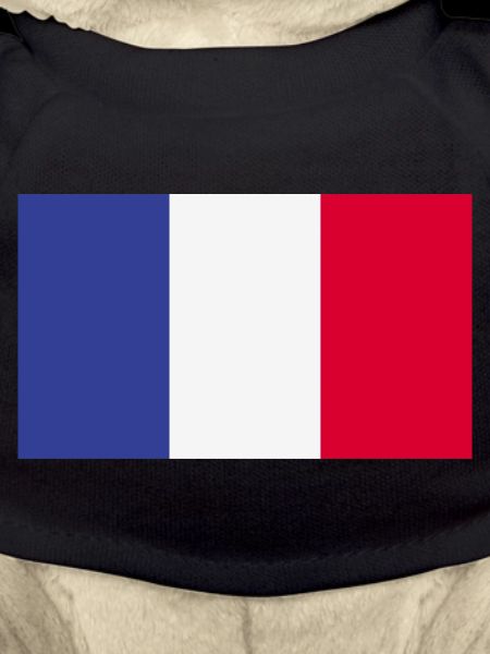 France National Flag