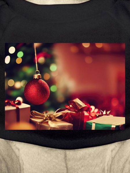 Christmas 27