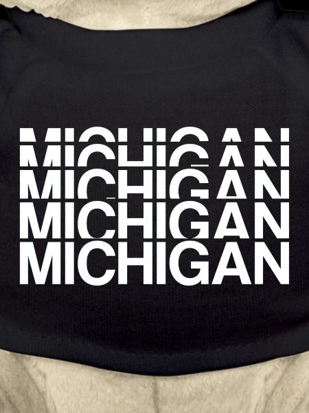 Michigan USA