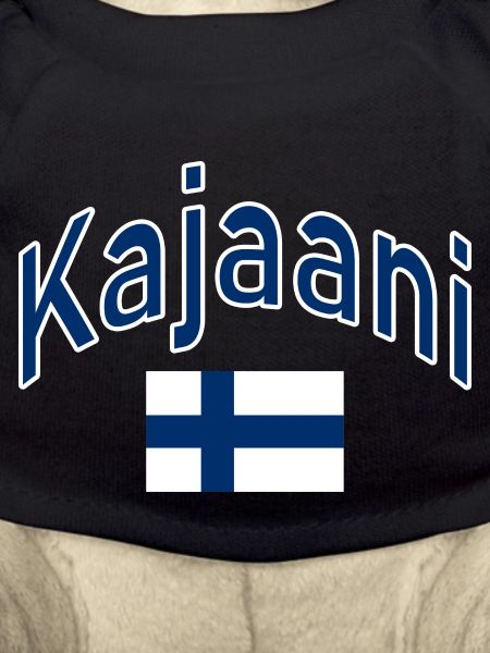 Kajaani Finland flag