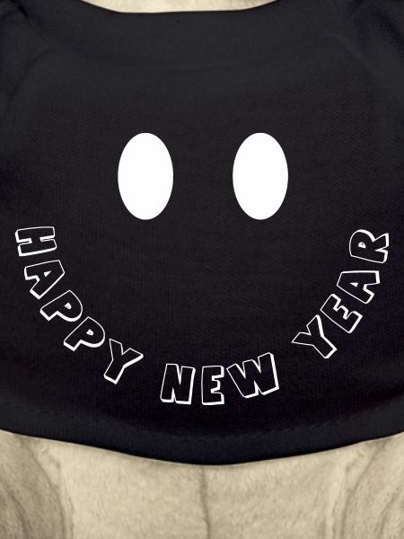 Bonne année !