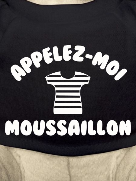 Appelez moi moussaillon