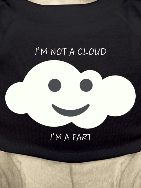I'm a fart
