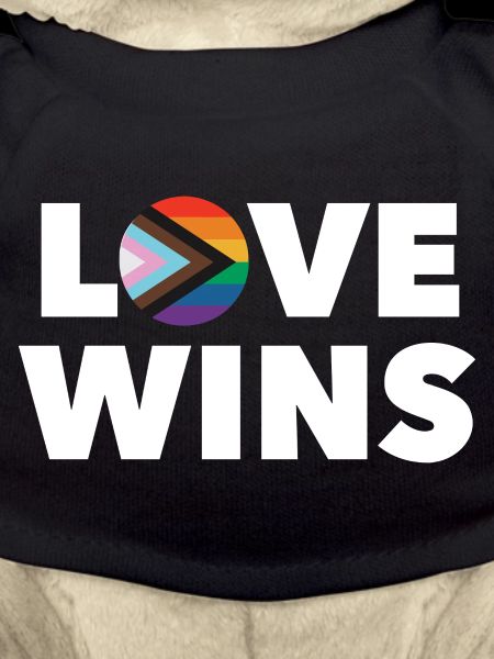 LGBTQ Love Wins
