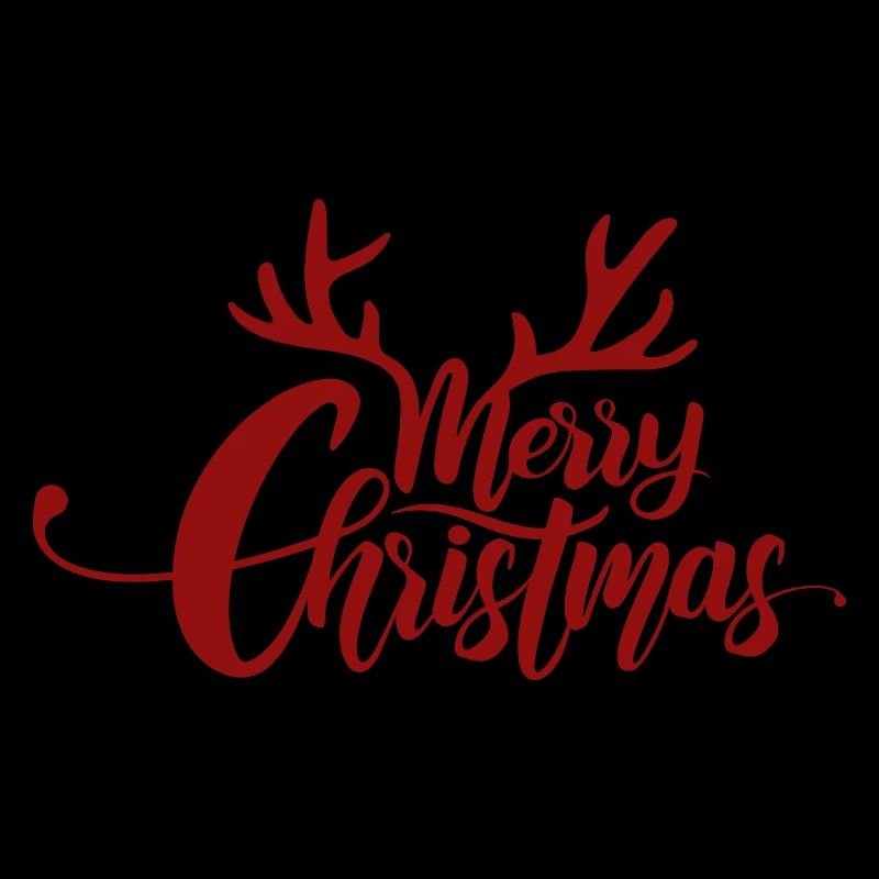 Joyeux Noël - Lettrage avec bois de cerf