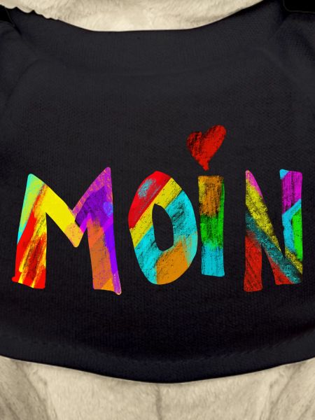 Moin Regenbogen Pinselbuchstaben