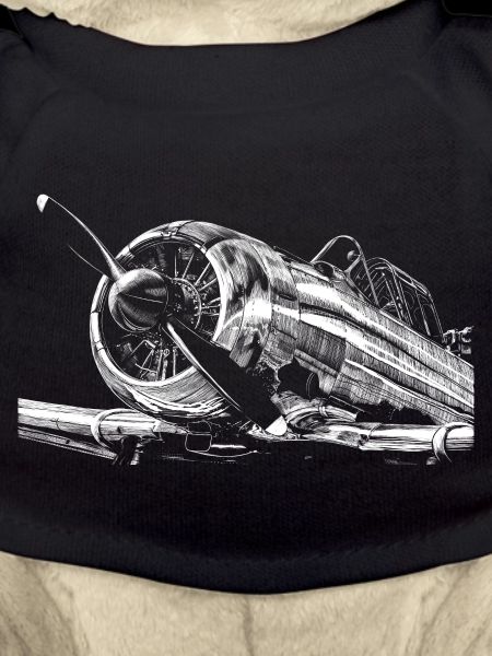Flugzeug