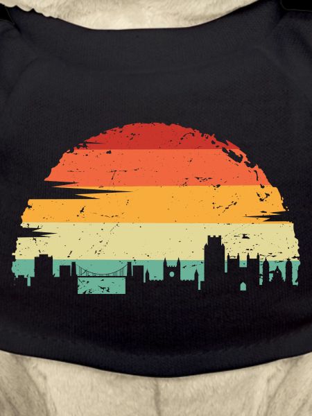Sunset Skyline Silhouette