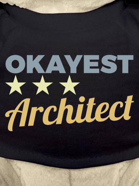 Okayest Architekt