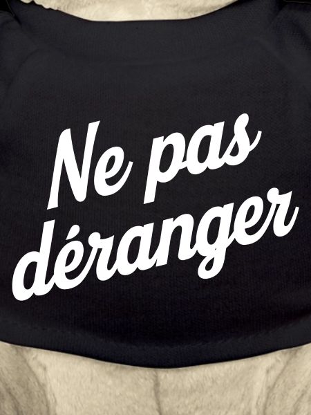 Ne pas déranger