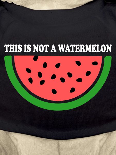 THIS IS NOT A WATERMELON