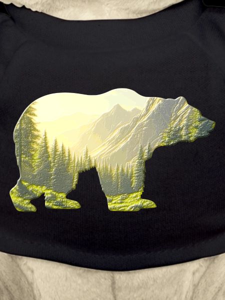 Bear 🐻