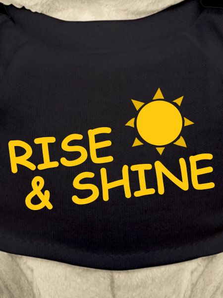 RISE & SHINE