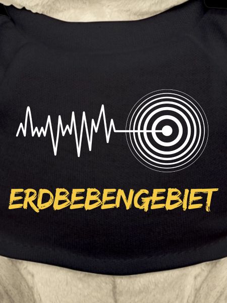 Erdbebengebiet Bewusstsein
